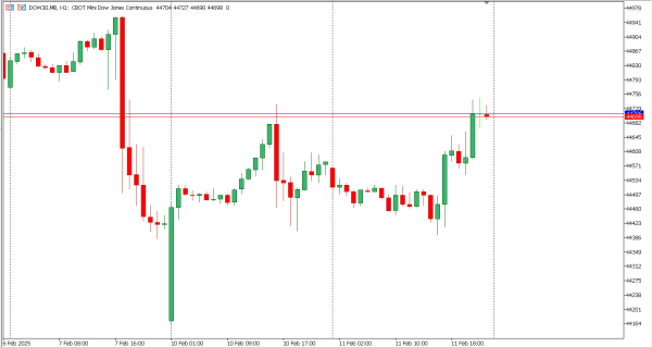 dow30 12 feb
