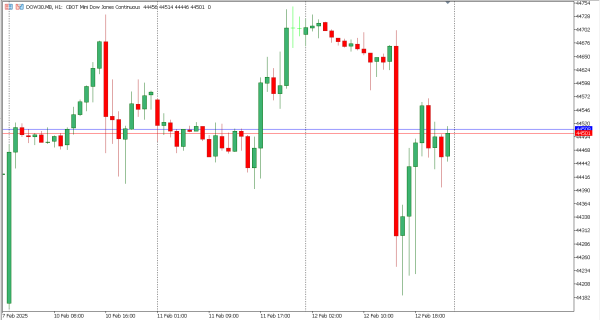 dow30 13 feb