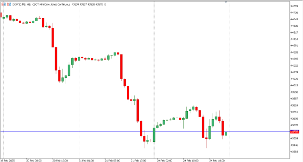 dow30 25 feb