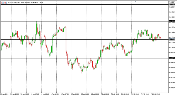 nzdusd 13 feb