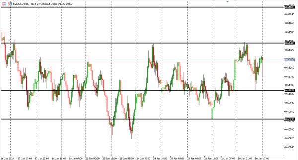 nzdusd 31 jan