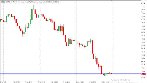 oil 12 nov