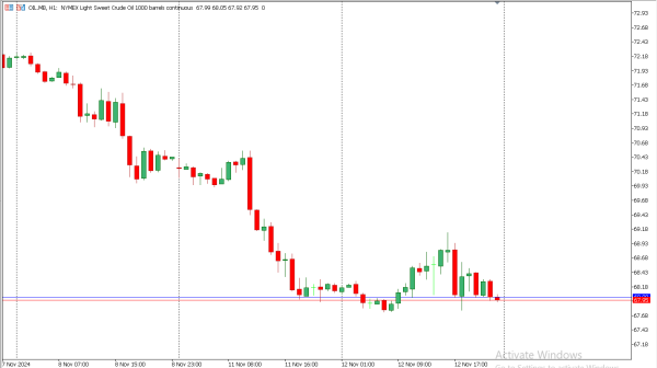 oil 13 nov