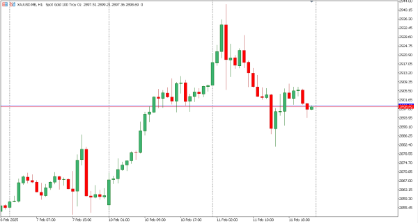 xauusd 12 feb